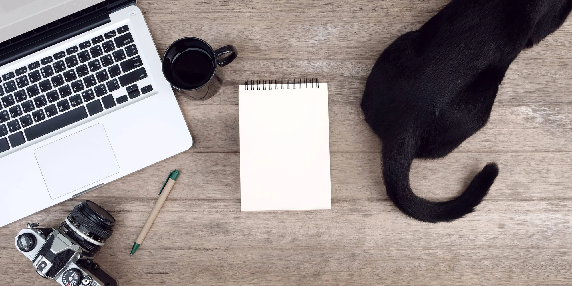 Laptop, pad of paper and a cat